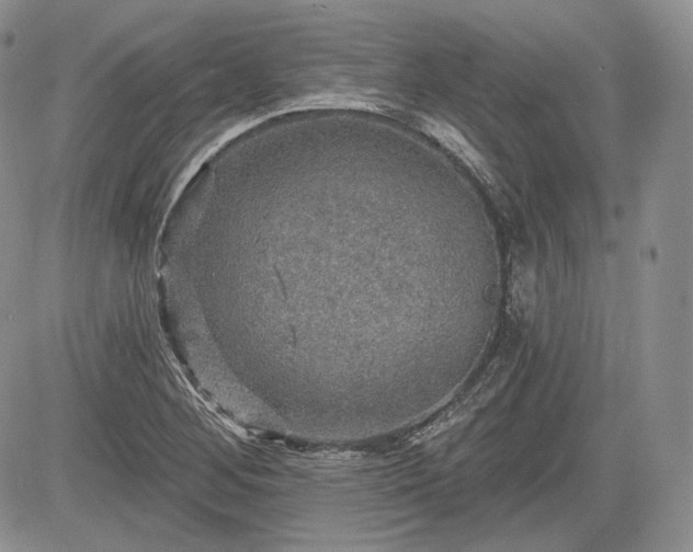 X0000085261268200703161354