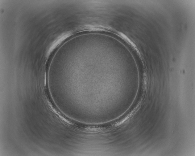 X0000085261269200703161354