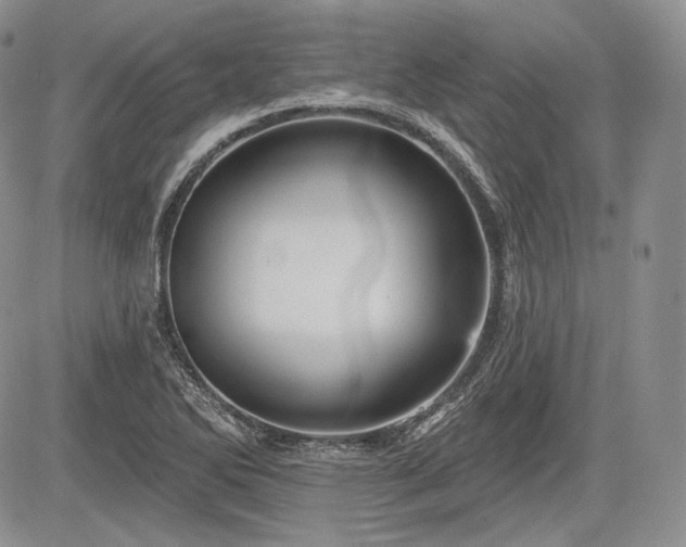 X0000085261270200703161354