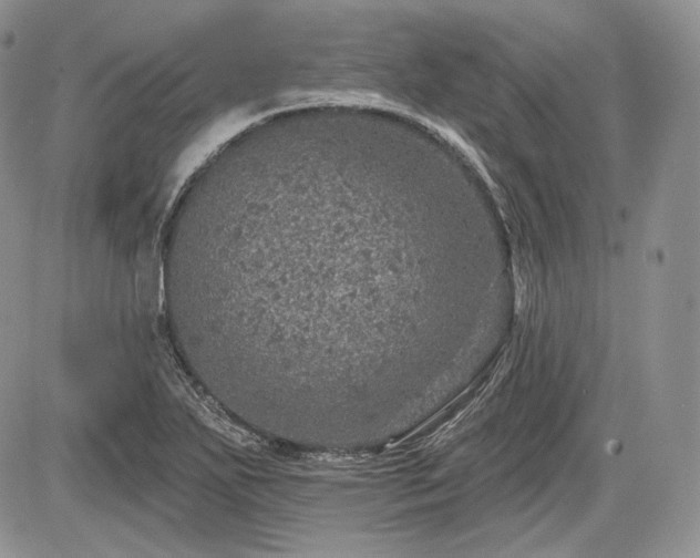 X0000085261271200703161354