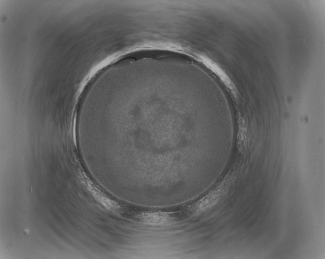 X0000085261272200703161354