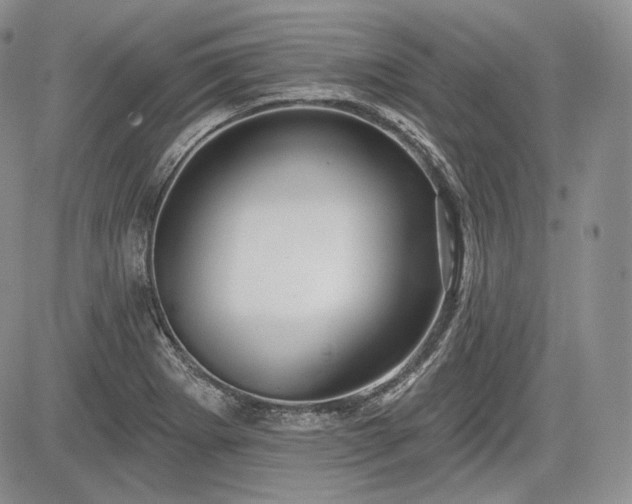 X0000085261273200703161354