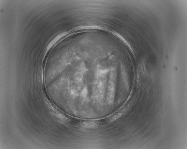 X0000085261274200703161354