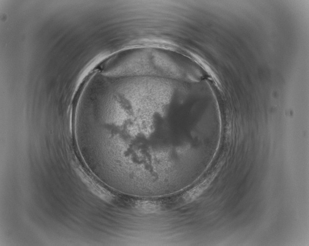 X0000085261275200703161354