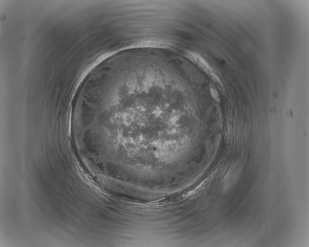 X0000085261276200703161354