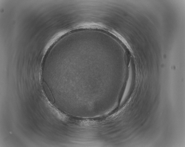 X0000085261277200703161354