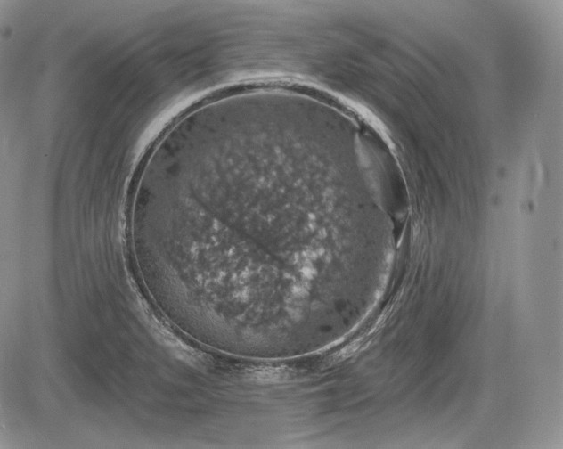 X0000085261279200703161354