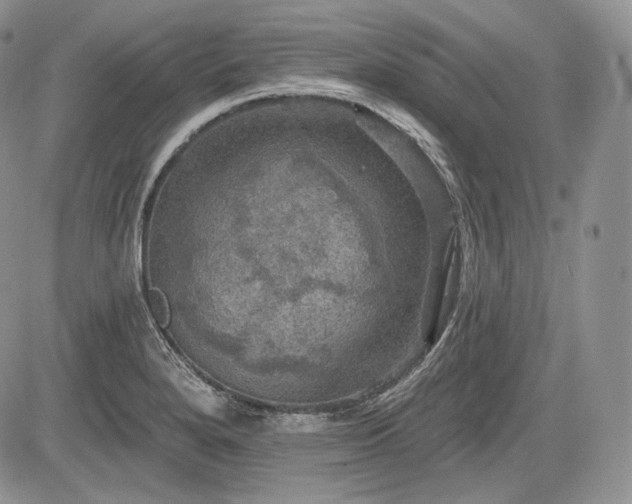 X0000085261280200703161354