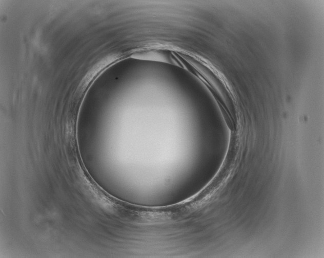 X0000085261281200703161354