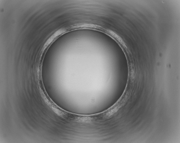 X0000085261282200703161354