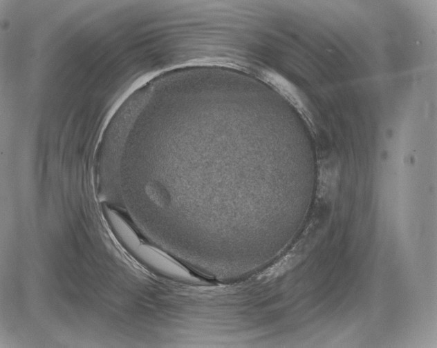 X0000085261284200703161354