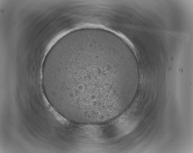 X0000085261287200703161354