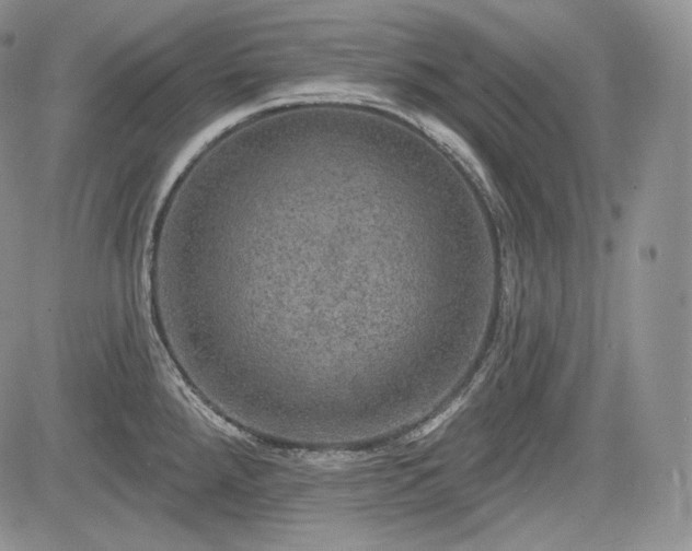 X0000085261288200703161354