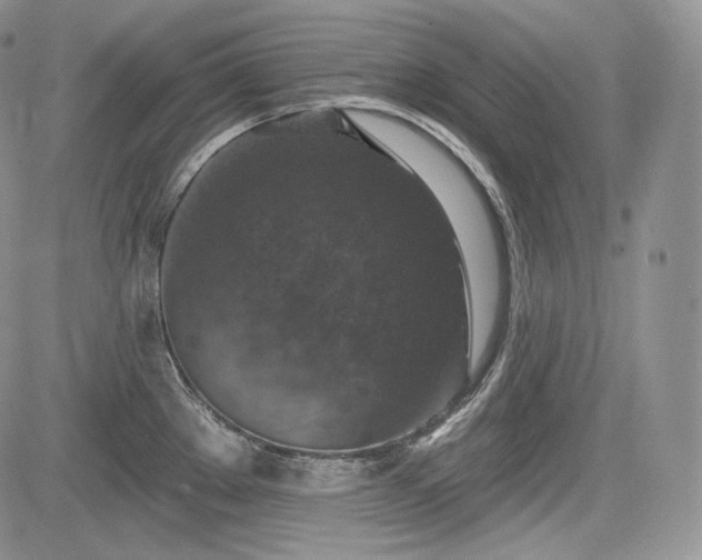 X0000085261289200703161354