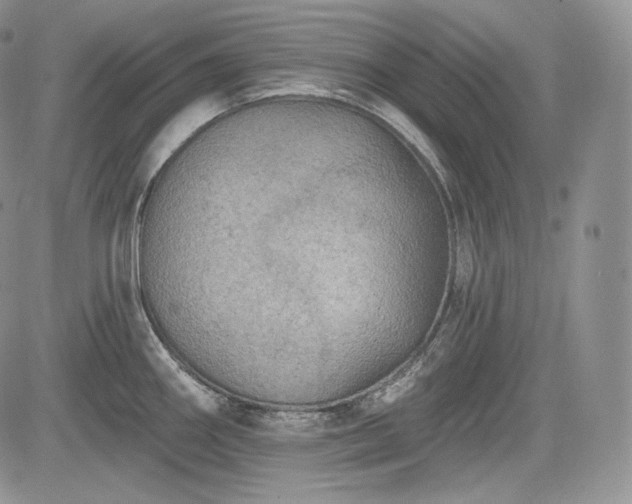 X0000085261290200703161354