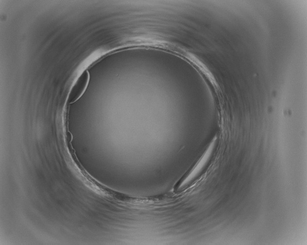 X0000085261291200703161354