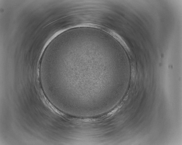 X0000085261292200703161354