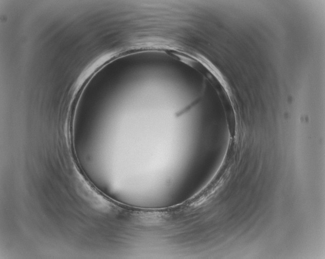 X0000085261293200703161354