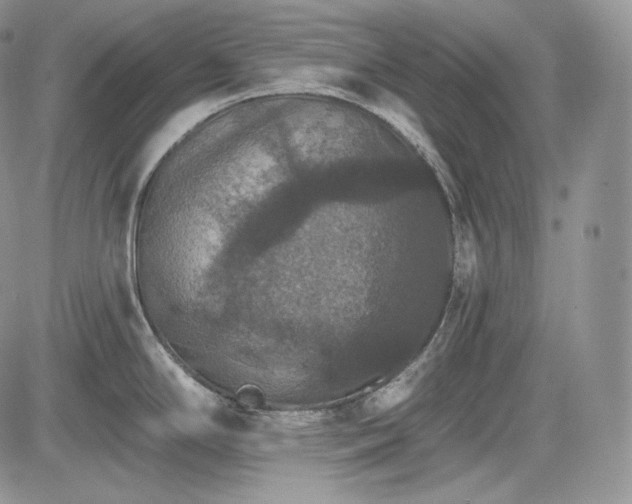 X0000085261294200703161354