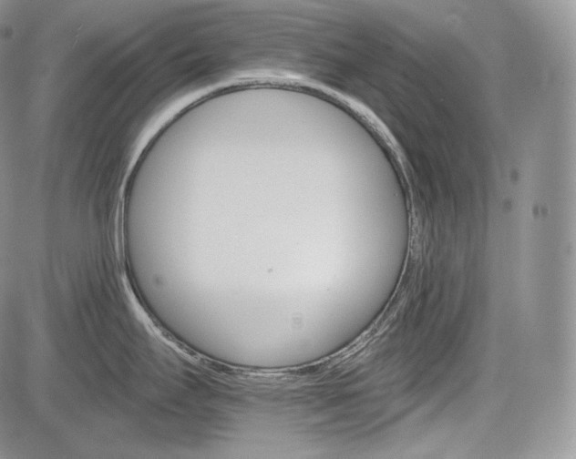 X0000085261295200703161354