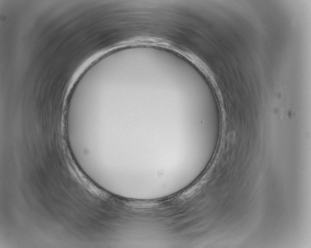 X0000085261296200703161354