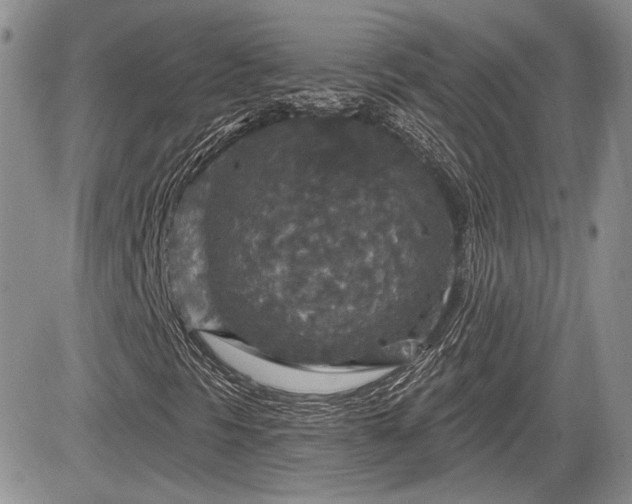 X0000085261297200703161353