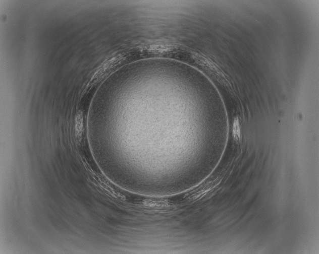 X0000085261299200703161353