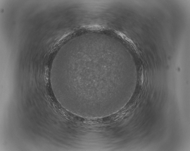 X0000085261301200703161353