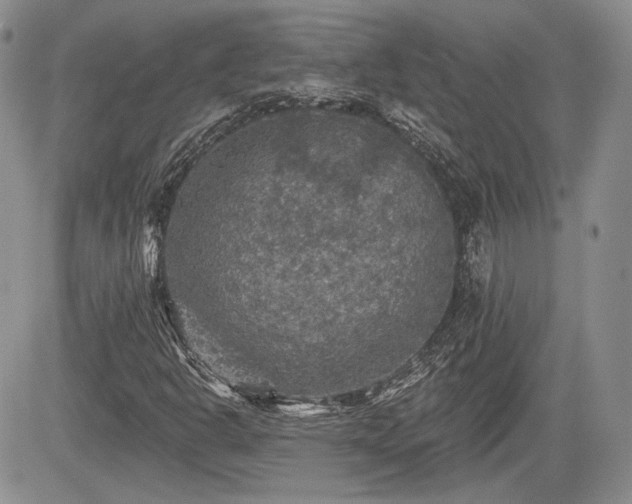 X0000085261302200703161353