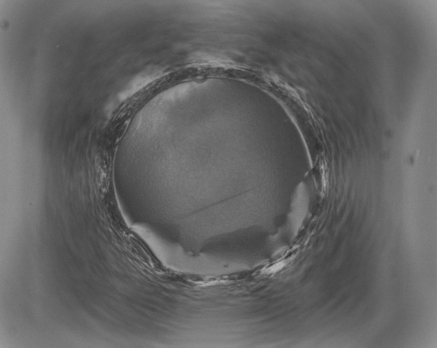 X0000085261303200703161353