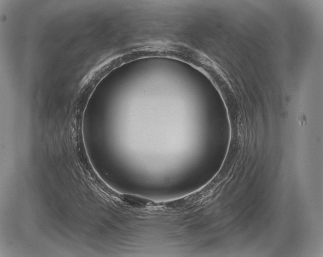 X0000085261304200703161353