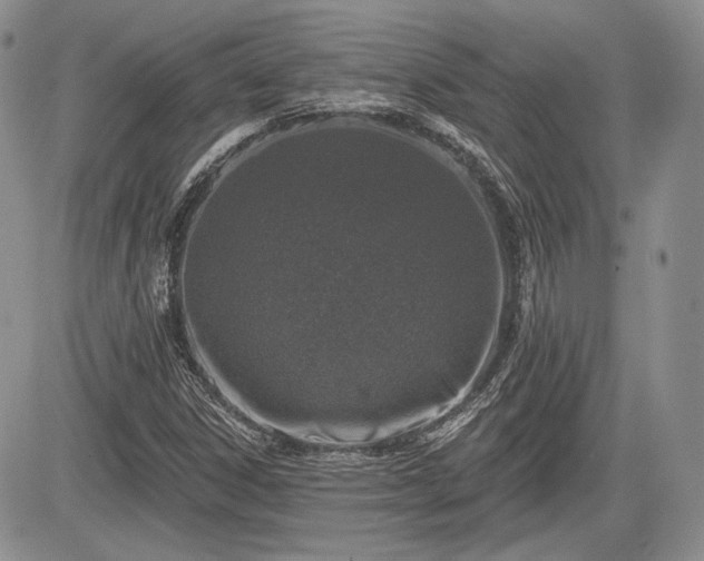 X0000085261306200703161353