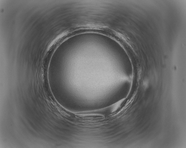 X0000085261307200703161353