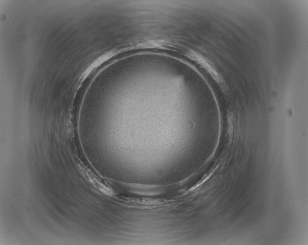 X0000085261308200703161353