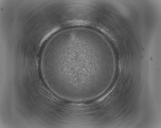 X0000085261309200703161353