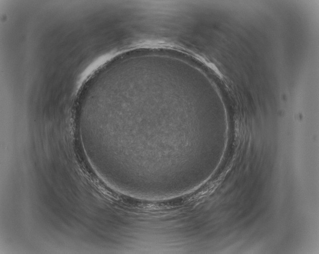 X0000085261311200703161353