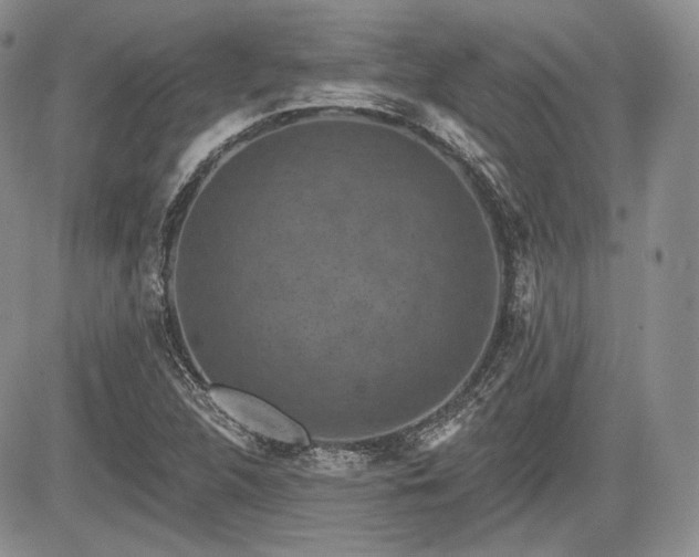 X0000085261312200703161353