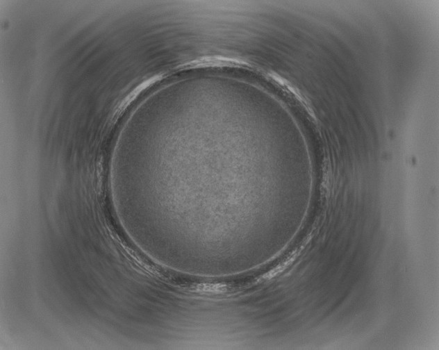 X0000085261313200703161353