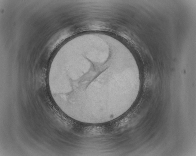 X0000085261314200703161353