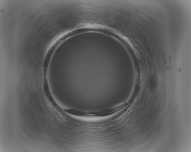 X0000085261319200703161353