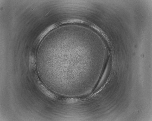 X0000085261321200703161354