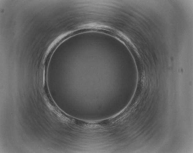 X0000085261323200703161354