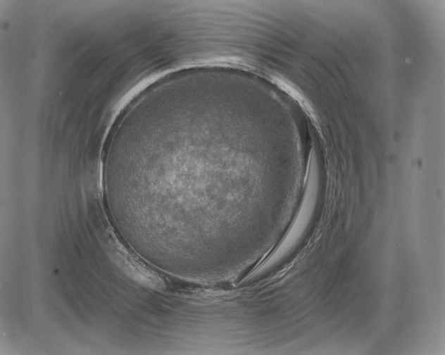 X0000085261324200703161354