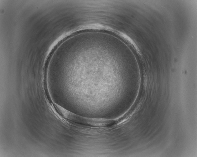 X0000085261326200703161354