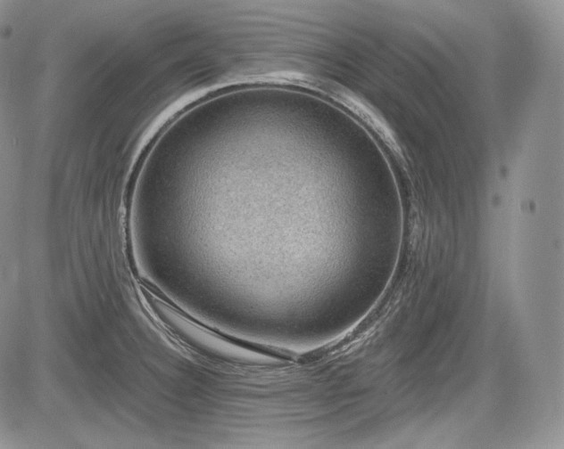 X0000085261332200703161354