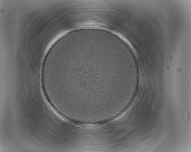 X0000085261333200703161354