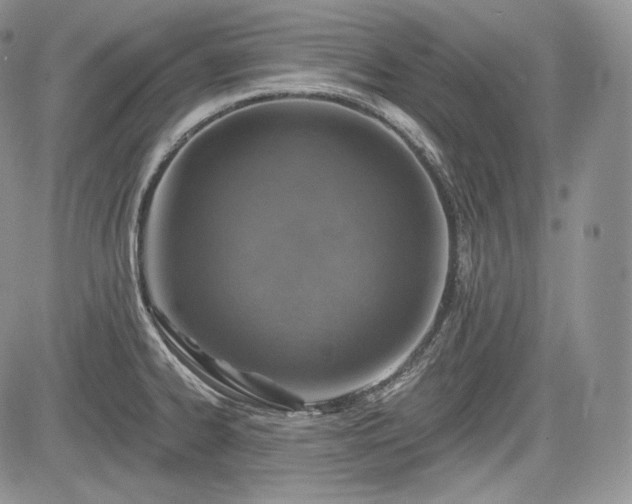 X0000085261334200703161354