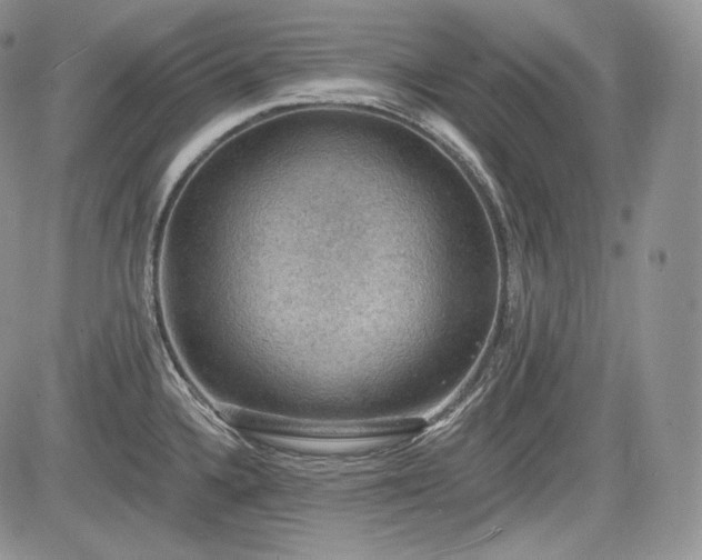 X0000085261336200703161354