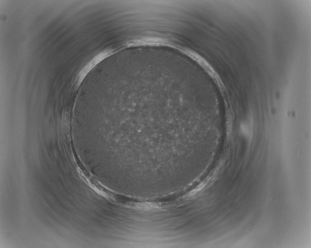 X0000085261337200703161354