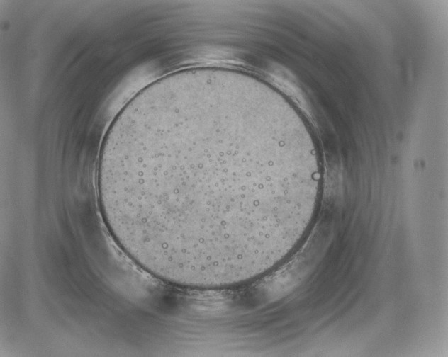 X0000085261338200703161354